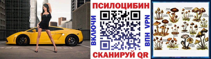 Купить закладки  Белореченск  Псилоцибиновые грибы Magic Shrooms 